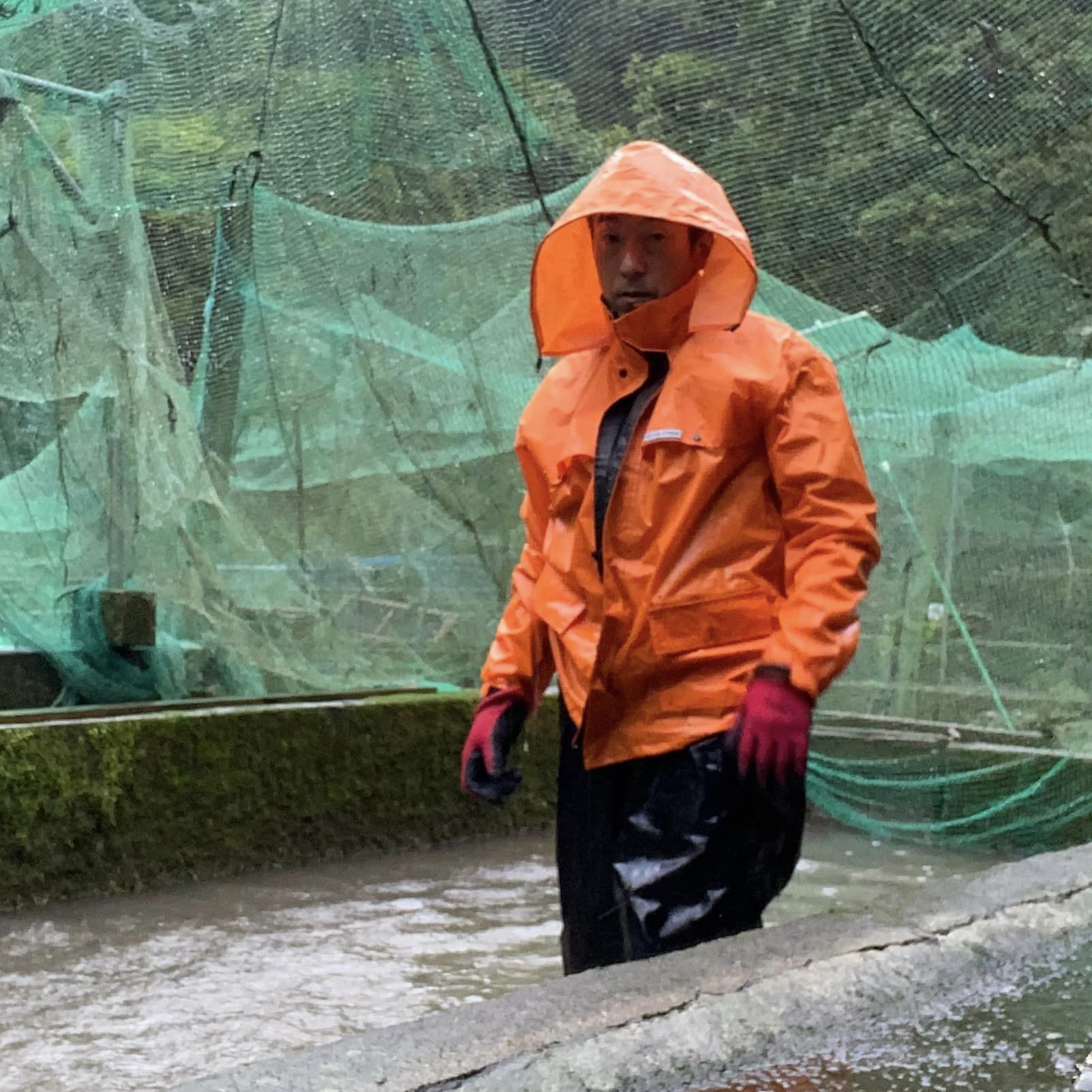 大雨