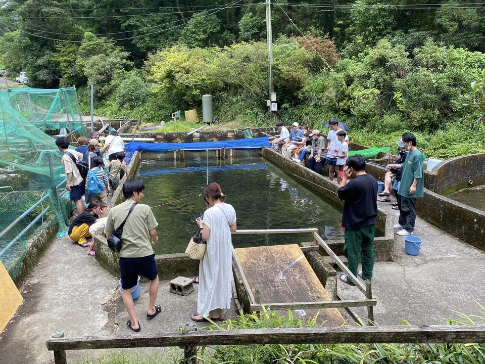 しゃくなげの森で夏休み