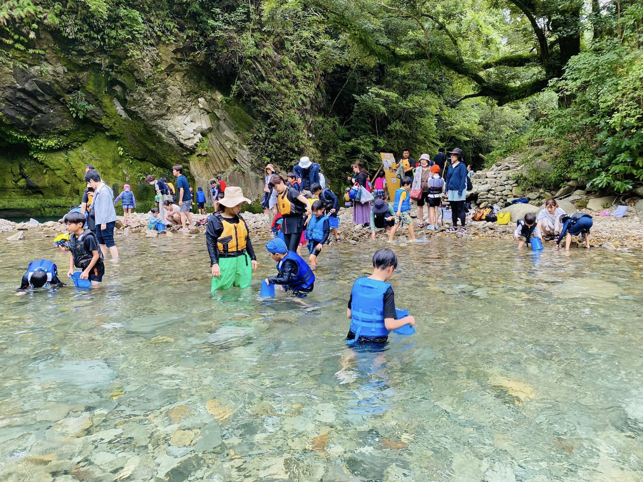 渓流の自然観察会