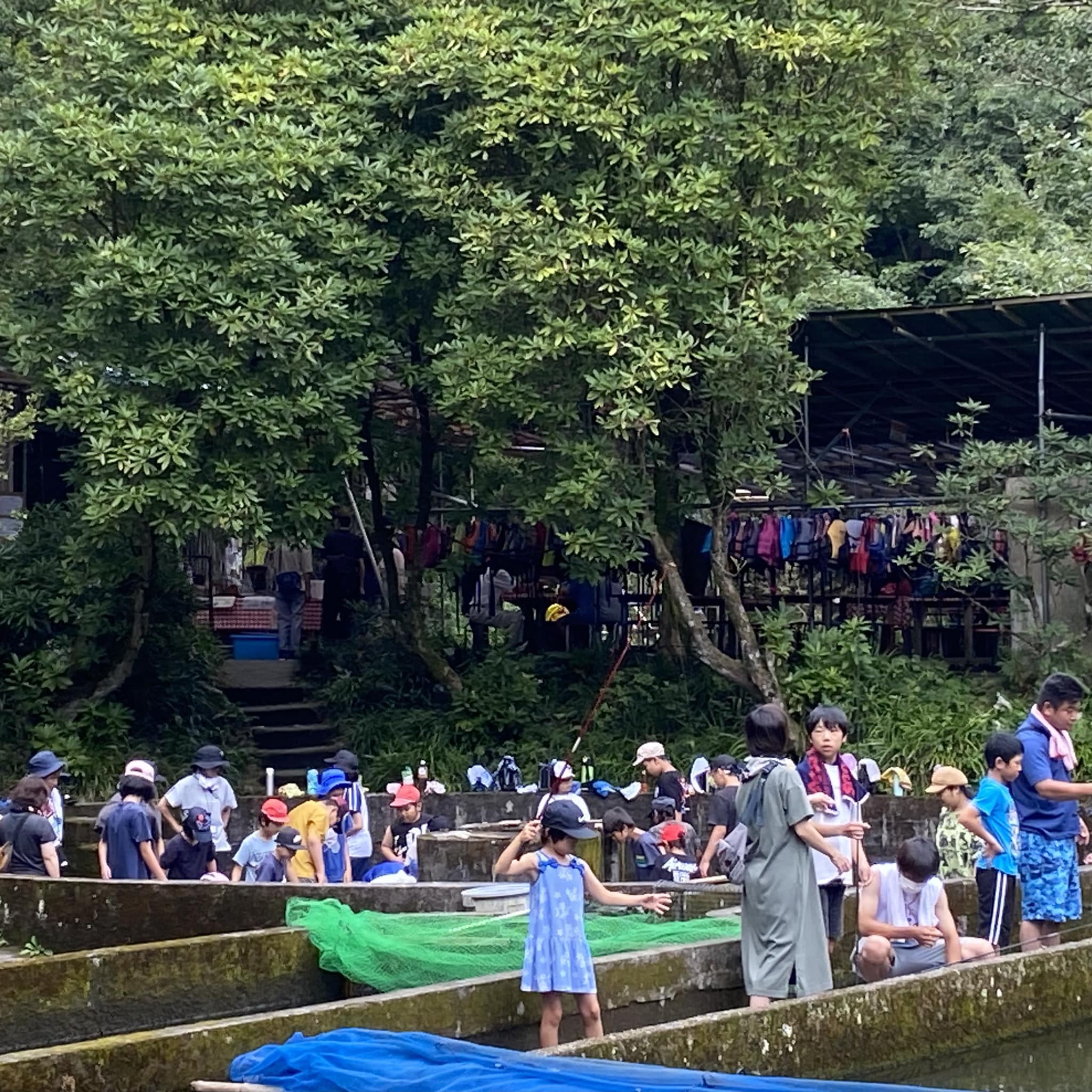 釣り・つかみ取り最終日のご案内