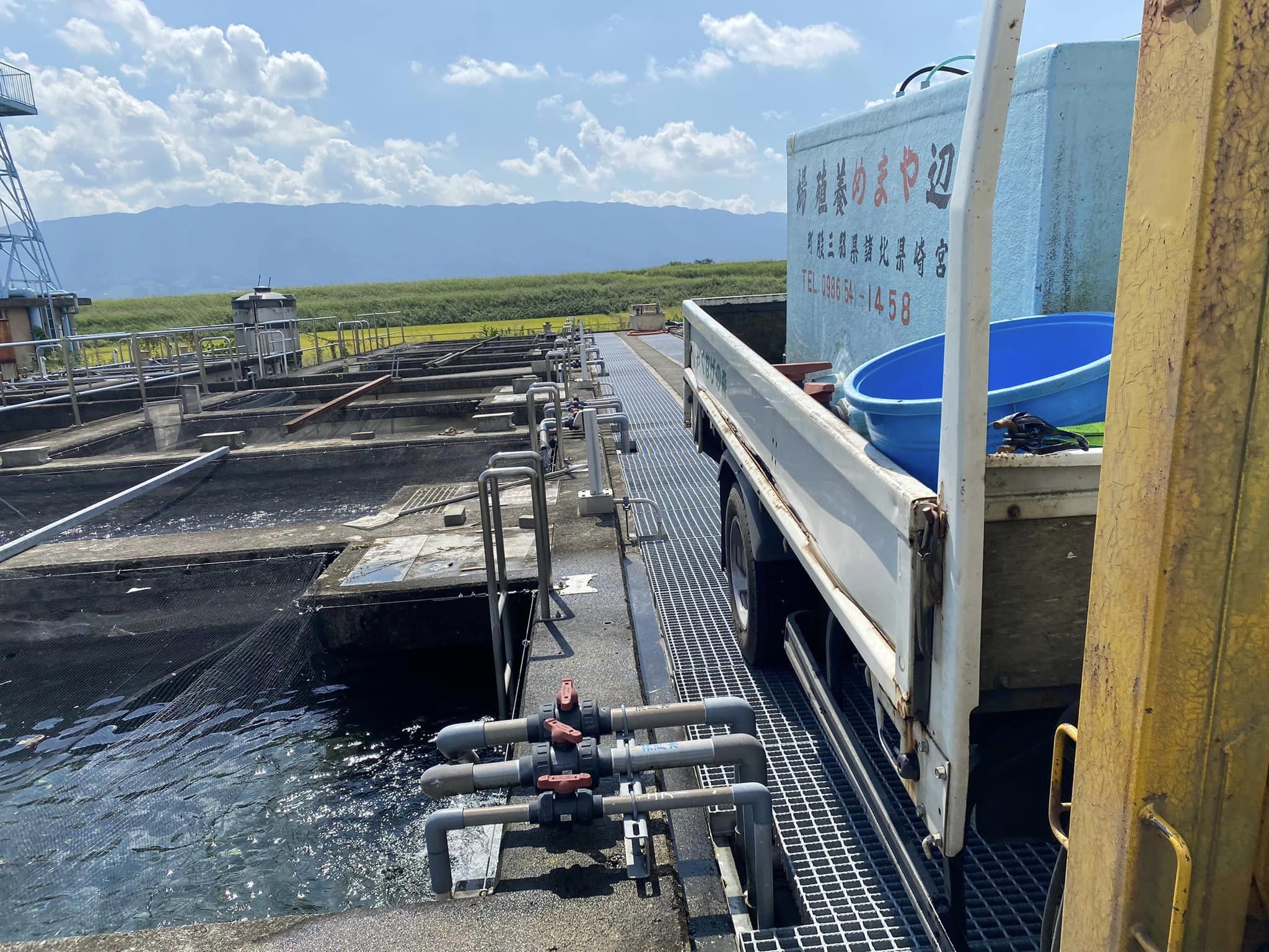 福岡県にヤマメ活魚輸送