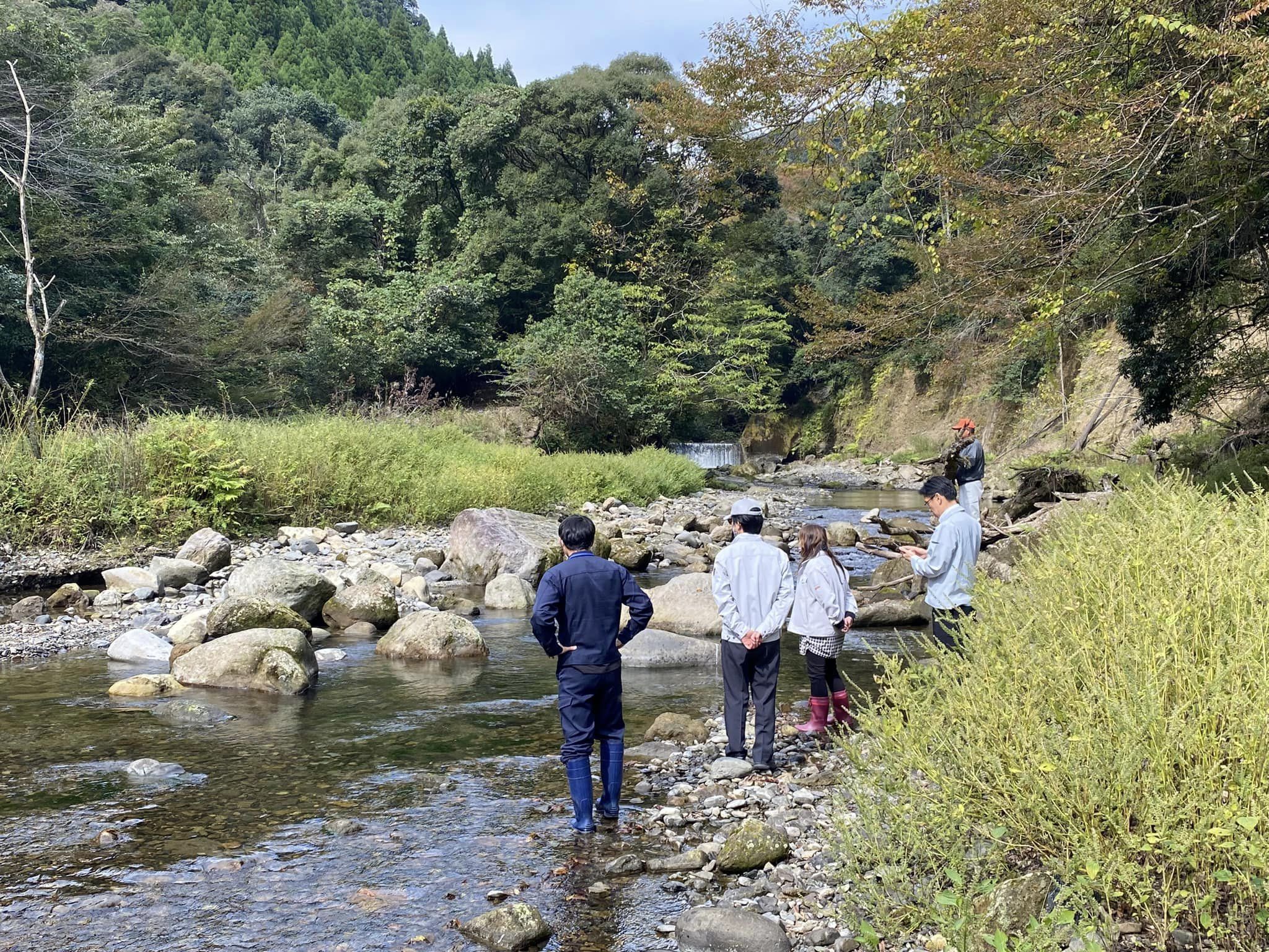 親魚の放流