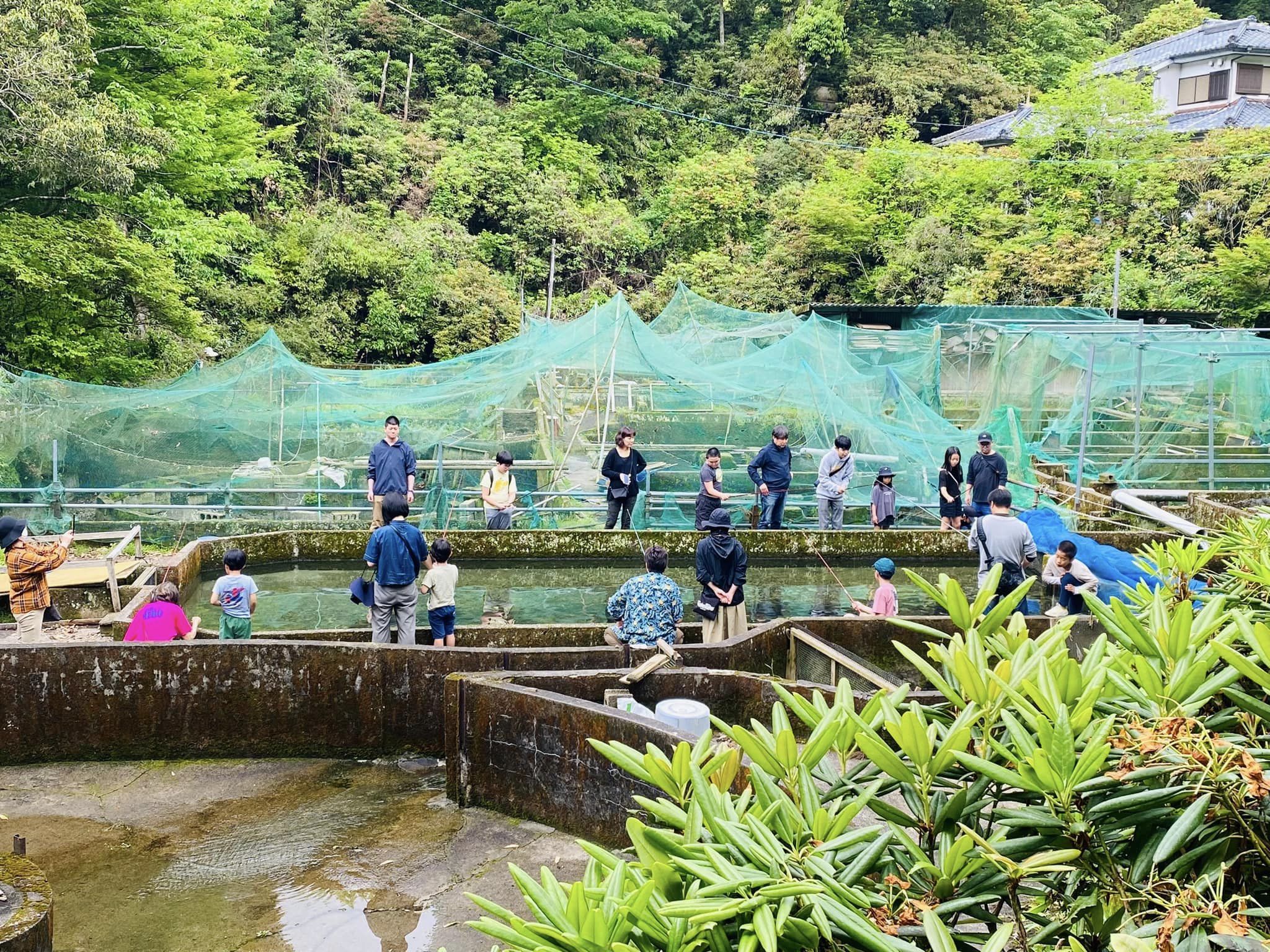 春のヤマメ釣り開催中