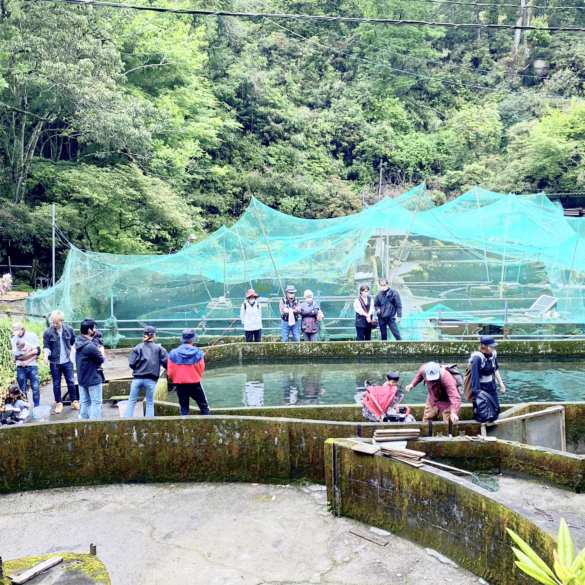 春のヤマメ祭り情報