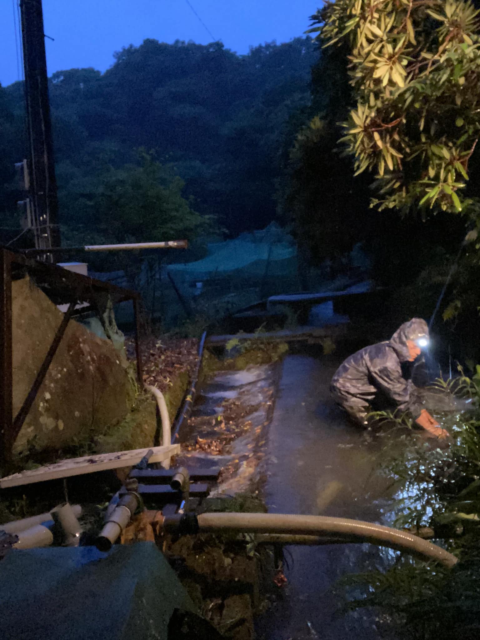 線状降水帯予報