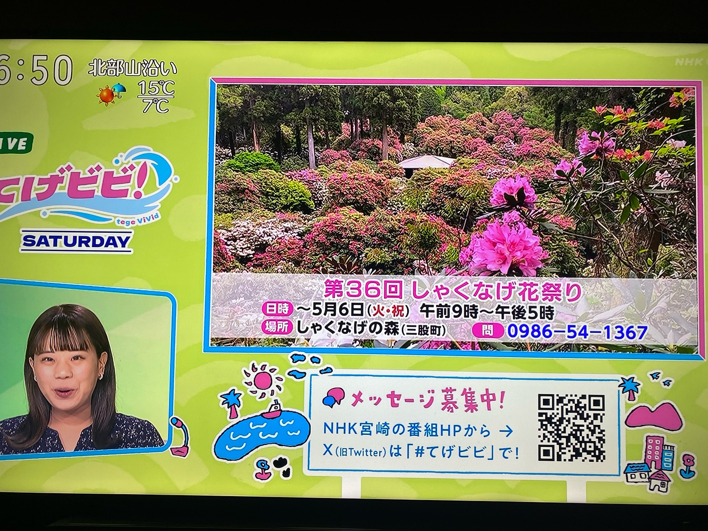 NHK宮崎「てげビビ」で「しゃくなげの森」が紹介されました