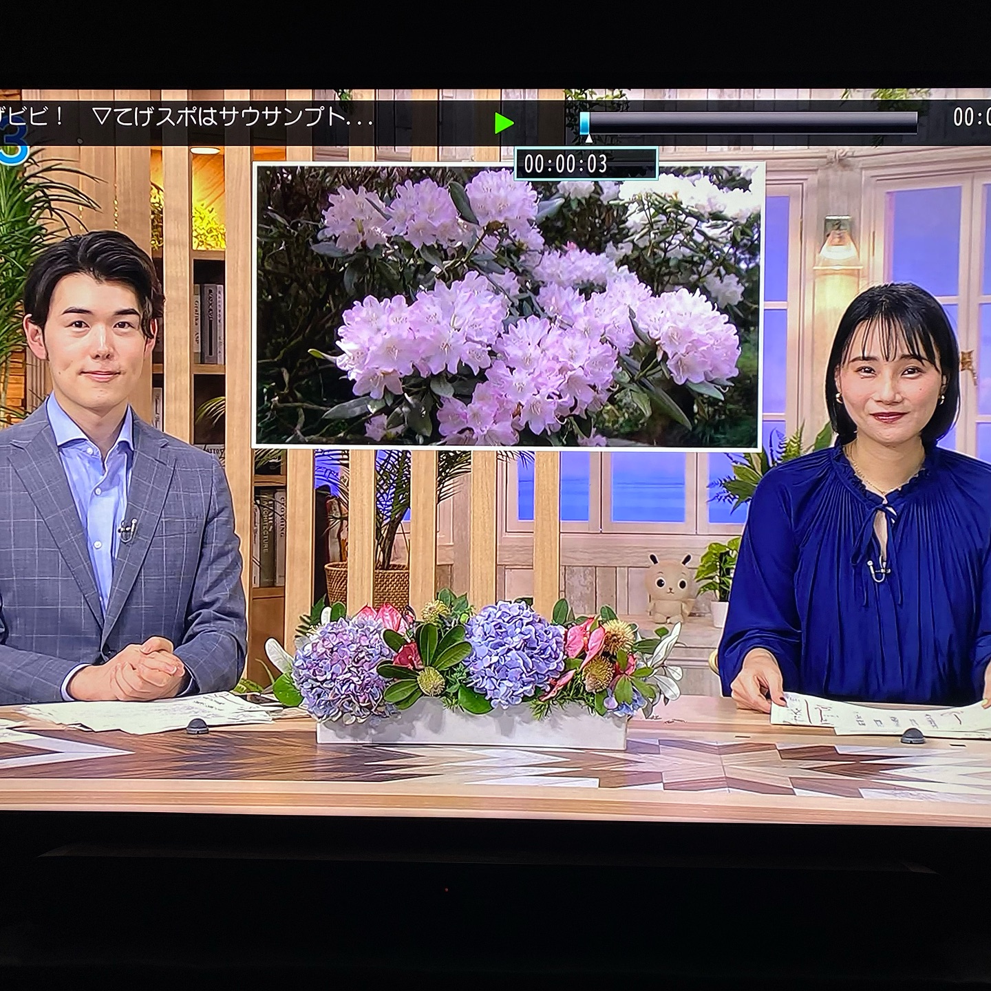 NHKのニュースで「しゃくなげの森」が紹介されました