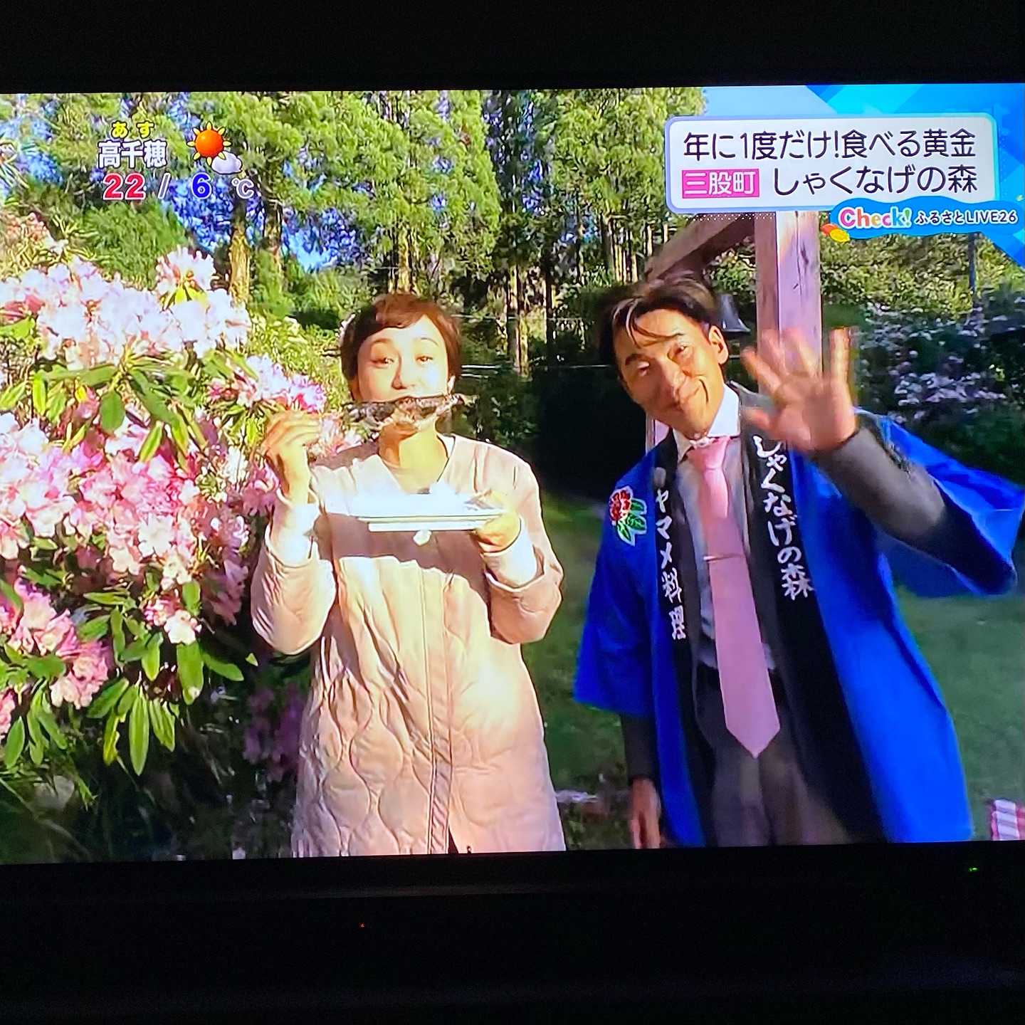宮崎放送の『Check！』でしゃくなげの森が紹介されました