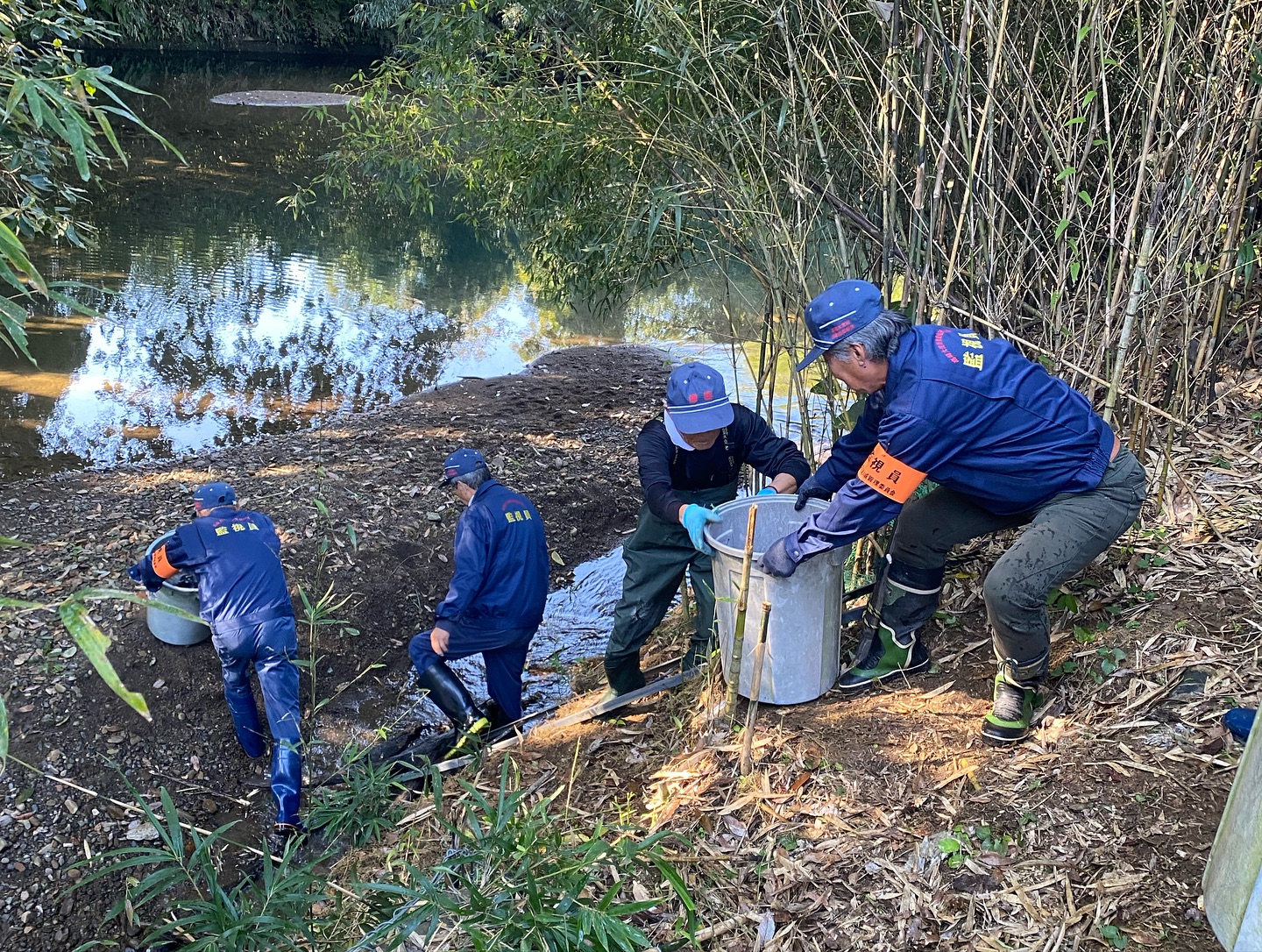 ヤマメ放流事業