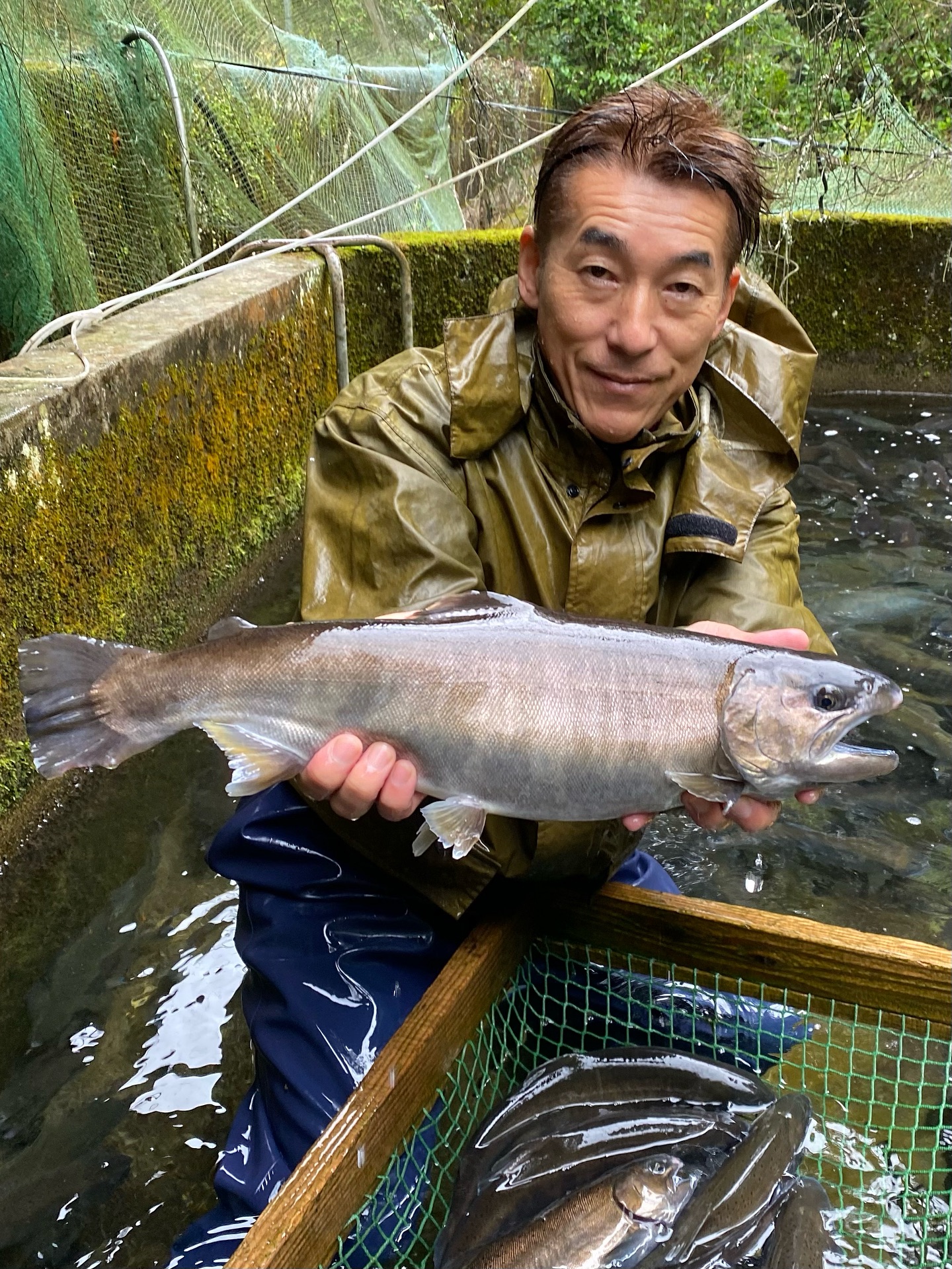 ヤマメの熟度鑑別