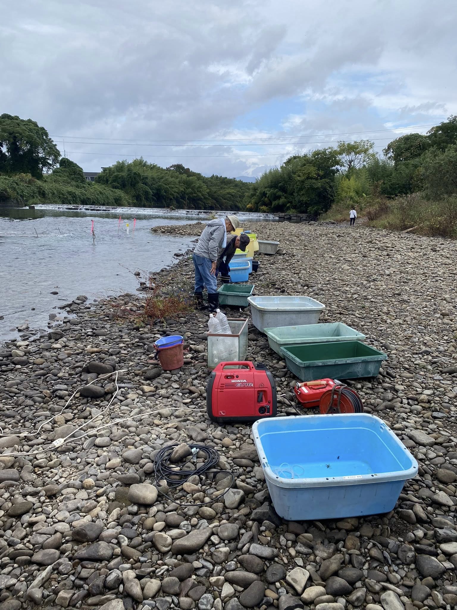 日南広渡川淡水漁業協同組合の「川祭り」