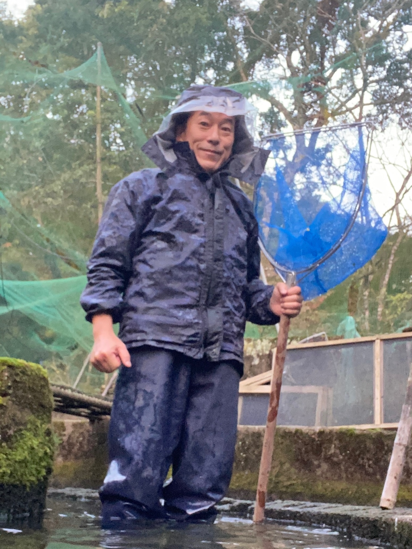 ヤマメ熟度鑑別作業