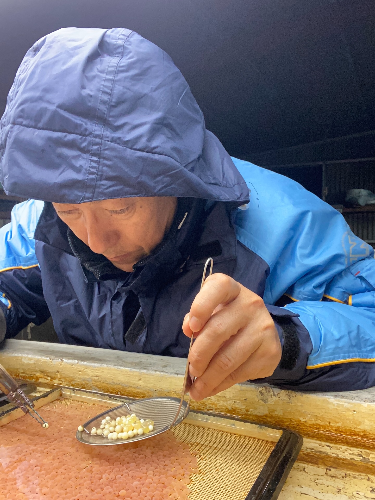 今夜も深夜作業