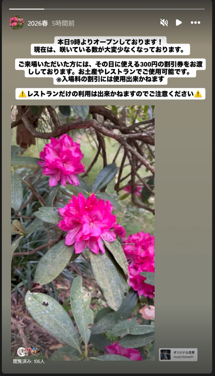第37回 しゃくなげ花まつりのご案内