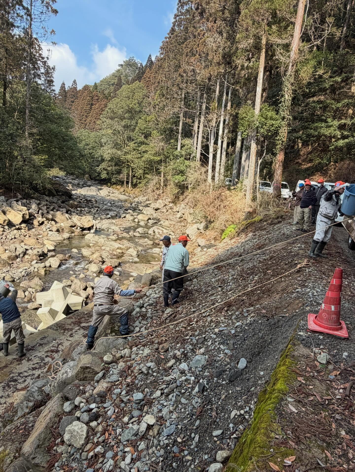 川内川にヤマメ放流
