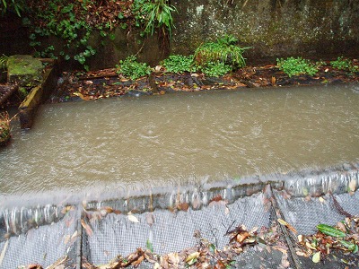 大雨